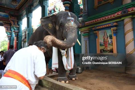 Le Concile de Manakula: Réaffirmation du Shivaïsme dans une Inde du Sud en effervescence religieuse